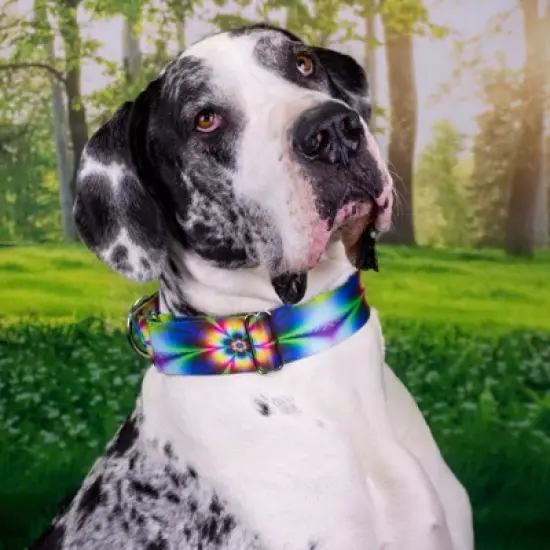 Country Brook Petz Tie Dye Flowers Martingale Dog Collar image {5}