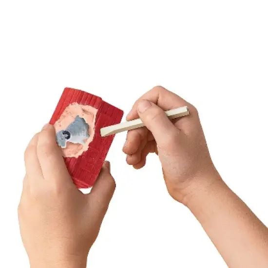 MindWare Dig It Up! Farm Animal Discoveries - Excavation Digging Activity Kit - Includes 12 Barns to Dig image {3}