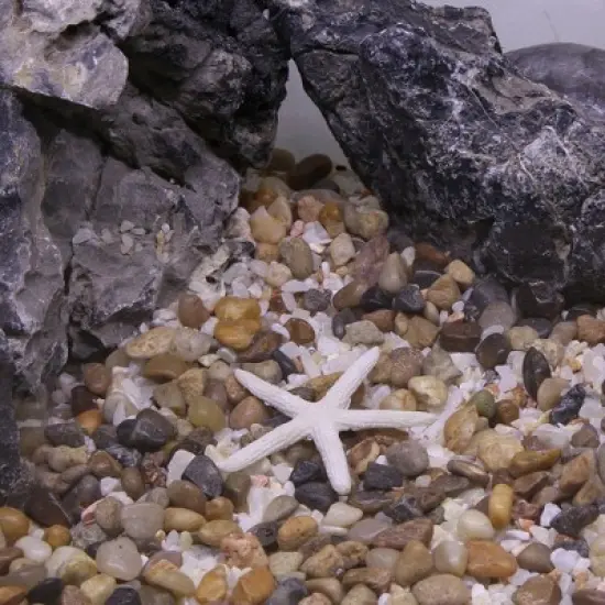 Unique Bargains Aquarium Mini Faux Coral Reef Decor 2.36"x2.44" 1 Pc image {4}