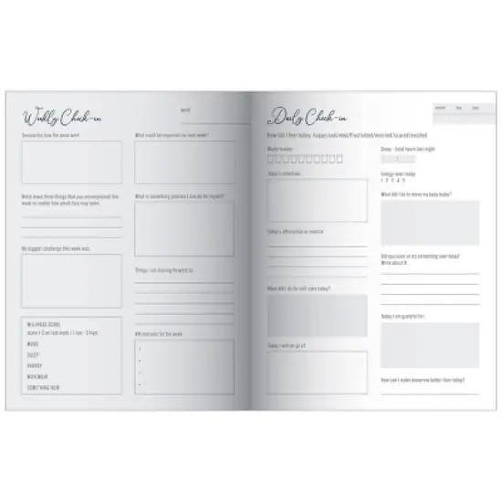 Top Flight The Beginning Guided Journal image {4}