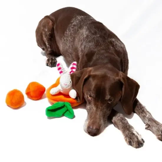 Midlee Hide a Toy Carrot Easter Dog Toy image {4}