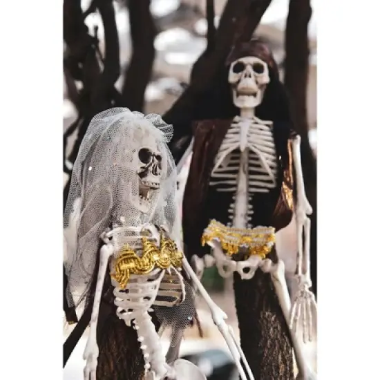 Nifti Nest 2 PCS Halloween Skeleton Lovers image {5}