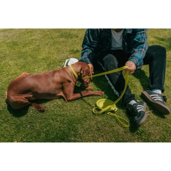 QALO TraQ Powered By Tile Dog and Cat Silicone Bluetooth Trackable Pet ID Tag - Green image {6}