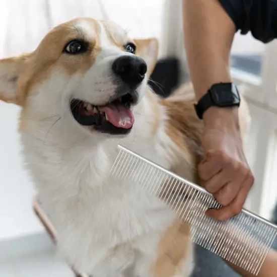 Unique Bargains Pet Grooming Comb for Cat Dogs 7.48"x1.97" Silver Tone 1 Pc image {5}