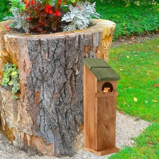 Uncle Dunkels Tree Frog House, Outdoor Tree Frog Habitat, Handmade in the USA image {1}