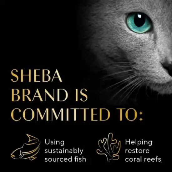 Sheba Selections Filets in Broth Complements Chicken and Tuna Flavor Wet Cat Food - 1.3oz image {7}
