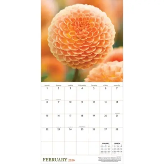 TF Publishing 13.5"x14.5" 2026 Flowers Wall Calendar image {5}