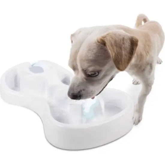 Allforpaws Chill Out Dog Bowl, Cooling Feast Dog Bowl, 1-cup image {5}
