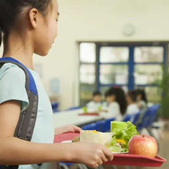 Unique Bargains Japanese Style Wood Grain Rectangular Plastic Serving Tray 1 Pc image {4}