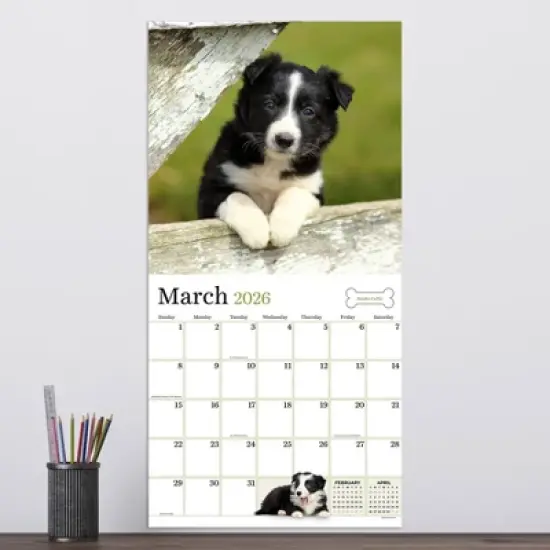 TF Publishing 13.5"x14.5" 2026 Puppies Wall Calendar image {2}