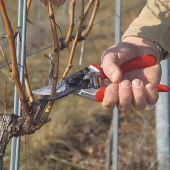 FELCO 8, Ergonomic Forged Aluminum Hand Pruner, Large Right Hand, Swiss Made image {1}