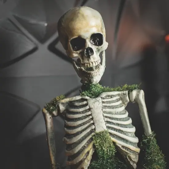 9 3/4" x 14 3/4" Mossy Skeleton Tabletop Animated Prop Halloween Decoration image {2}
