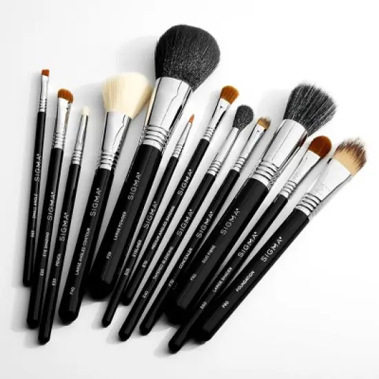 Sigma Beauty Essential Brush Set image {3}