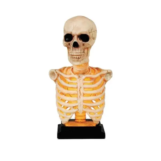 16" Skeleton Bust on Stand Plastic Halloween Tabletop Decoration image {1}