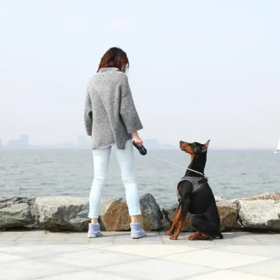 PETKIT Air Fly Harness Dog and Cat image {7}