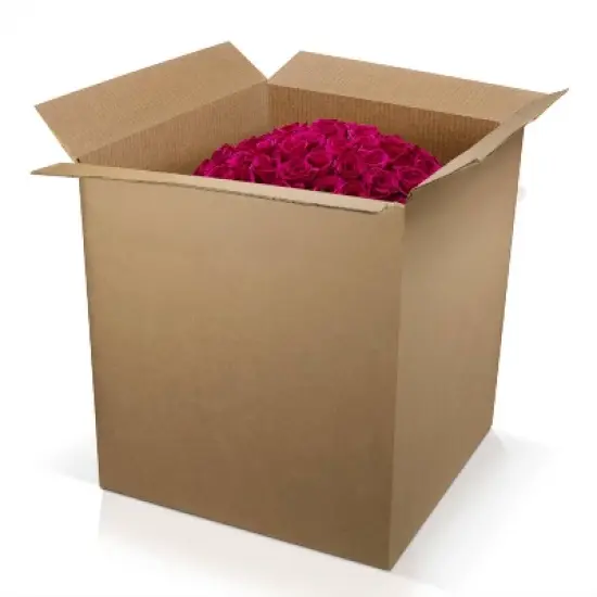 Fresh Cut 100-stem Hot Pink Rose Bouquet image {5}