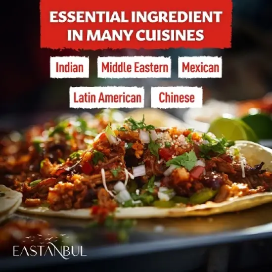 Eastanbul Coriander Seeds Whole, Cilantra, Coriander for Cooking, 3.2oz image {4}