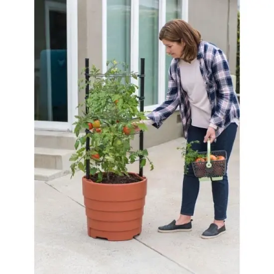 Gardeners Supply Company Victory Self Watering Planters Garden Kit | All-in-One Growth Planter Pots with Sturdy Metal Frame and Adjustable Ring Plant image {2}
