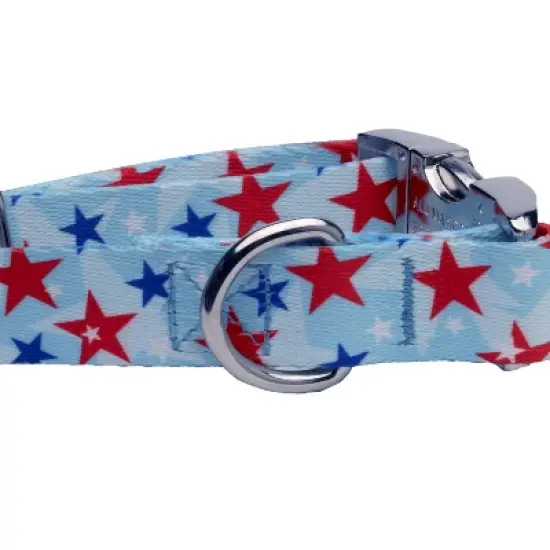 Country Brook Petz Premium Dog Collar - Americana Collection image {3}