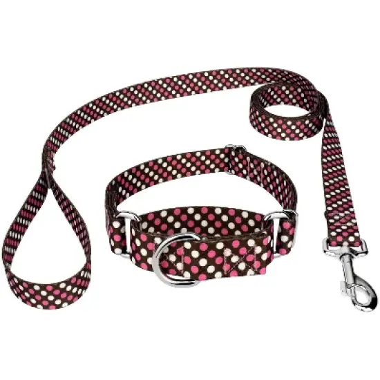 Country Brook Petz Shibuya Martingale Dog Collar and Leash Limited Edition image {5}