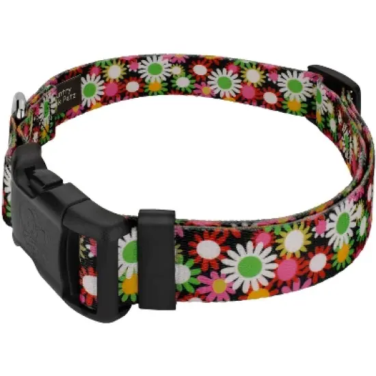 Country Brook Petz Daisy Fields Deluxe Dog Collar and Leash image {1}