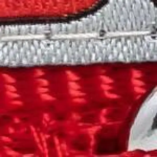 The License House Ohio State Buckeyes Dog Brutus Buckeye Collar image {2}