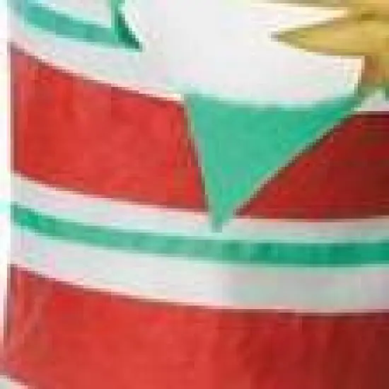 California Costumes Elf Pup Pet Costume image {2}