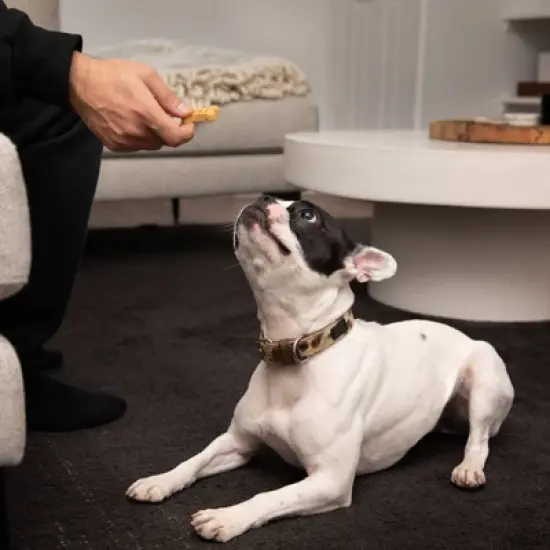 Rocco & Roxie Supply Co. Roasted Duck with Cranberries and Parsley Dog Treats - 14oz image {4}