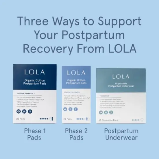 LOLA Postpartum Underwear with Organic Cotton Maxi Pad - 10ct image {8}