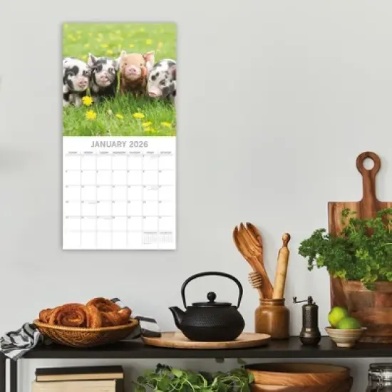 2026 Square Wall Calendar, Piggies, 16-Month Animals Theme with 180 Reminder Stickers (12x12 In) image {1}