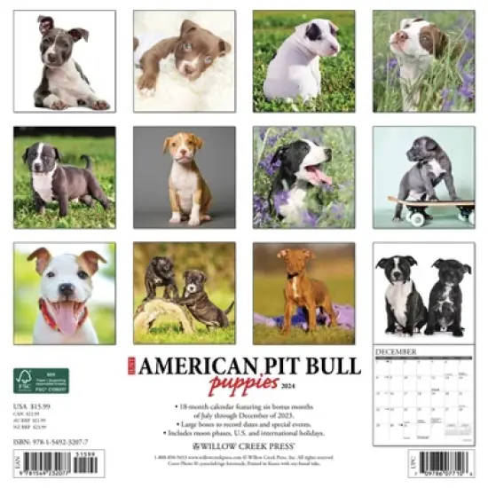 Willow Creek Press 2024 Wall Calendar 12"x12" Just American Pit Bull Puppies image {1}