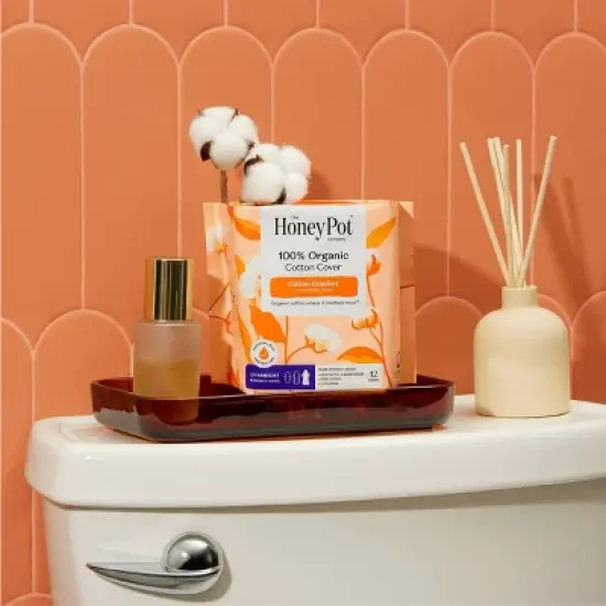 The Honey Pot Company, Non-Herbal Overnight Pads with Wings, Organic Cotton Cover - 12 ct image {1}