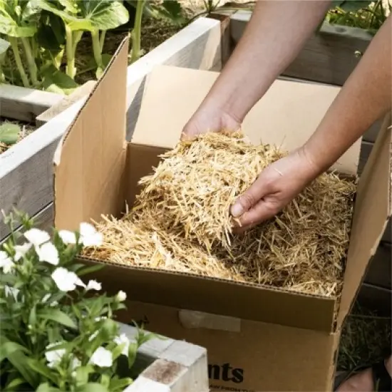 HealthiStraw GardenStraw Boxed &ndash; All-Natural, Clean, Sustainable Garden Straw Mulch for Gardens and Grass Seeding, Plastic-Free Packaging, 2 cu ft image {2}