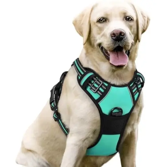 rabbitgoo Dog Harness image {3}