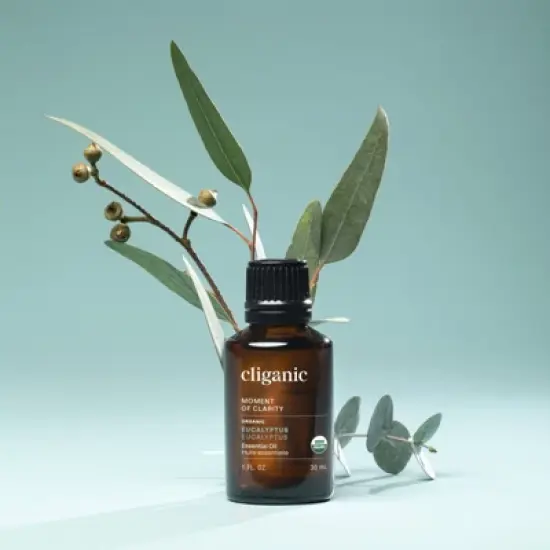 Organic Eucalyptus Essential Oil image {5}