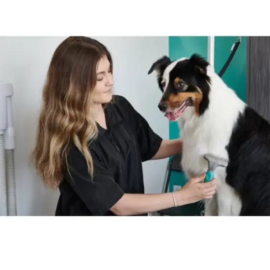 Groomer Essentials Undercoat Rake Single Row image {1}