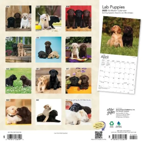 2023 Square Wall Calendar Labrador Retriever - StarGifts image {1}