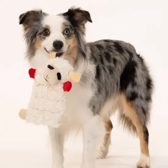 Multipet 9" Lamb Chop Squeaker Mat Dog Interactive Plush Toy image {4}