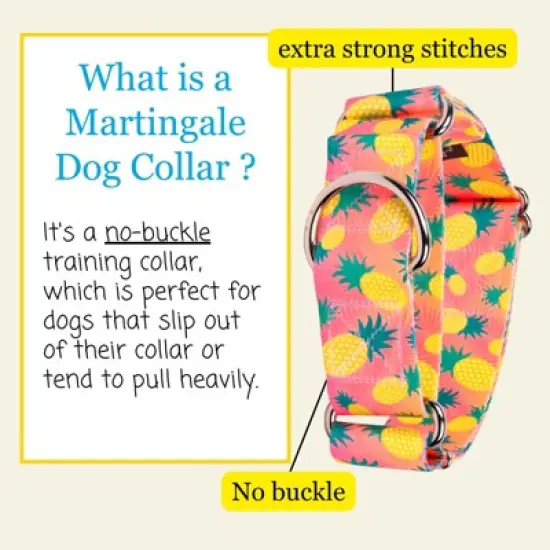 Country Brook Petz HossFit Jr Wide Martingale Dog Collar, Tasty Collection image {1}