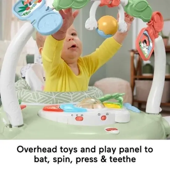 Fisher-Price Baby Bouncer SpaceSaver Jumperoo Activity Center with Lights Sounds and Folding Frame, Puppy Perfection image {2}