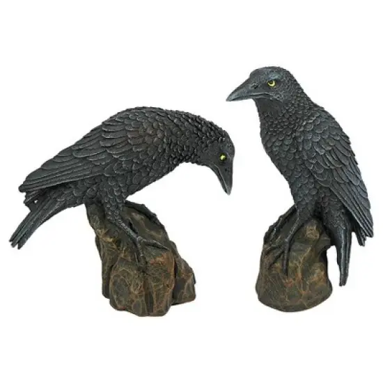 Design Toscano Mystic Night Raven Statues image {5}