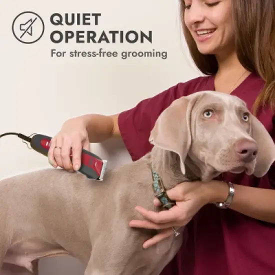 KONG 3-Speed 10' Cord with LED Spotlight, Blade and Combs Dog Hair Clipper Kit - 11pc image {4}