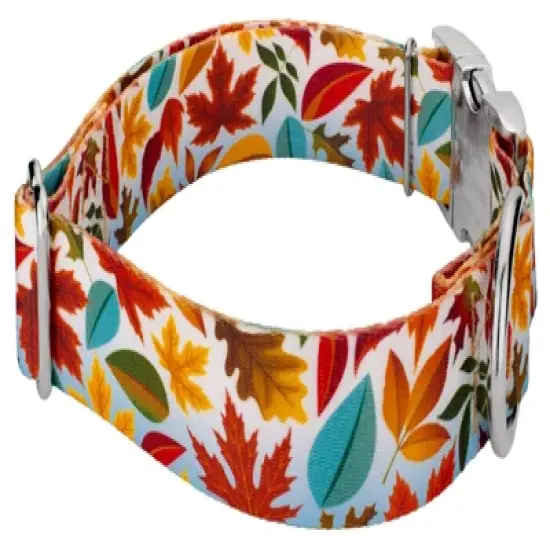 Country Brook Petz 1 1/2 Inch Premium Brisk Autumn Dog Collar image {2}