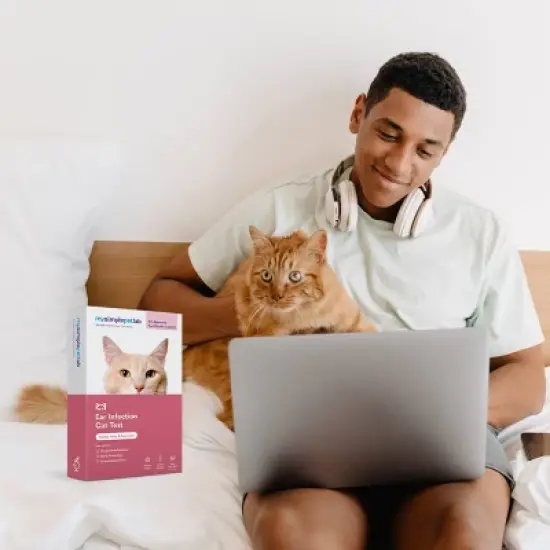 MySimplePetLab Cat Ear Infection Test Kit image {3}