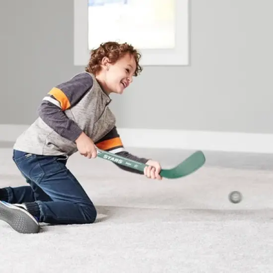 NHL Dallas Stars Mini 2pk Hockey Set image {7}