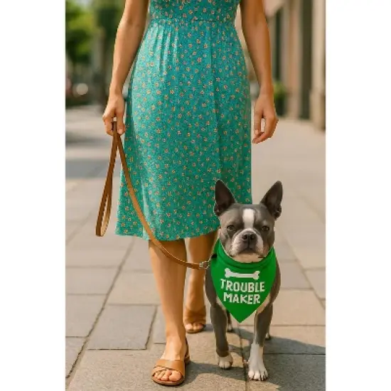 Parisian Pet 'Trouble Maker' Bandana for Dogs & Cats - Fun, Comfortable, Trendy Green Pet Fashion Accessory-Saint Patrick's Day image {6}