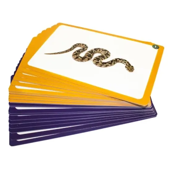 Junior Learning 44 Sound Cards image {2}