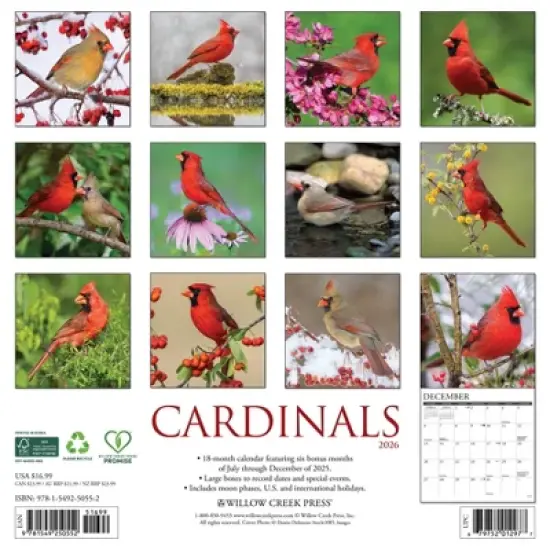Willow Creek Press 2026 Cardinals Wall Calendar image {1}