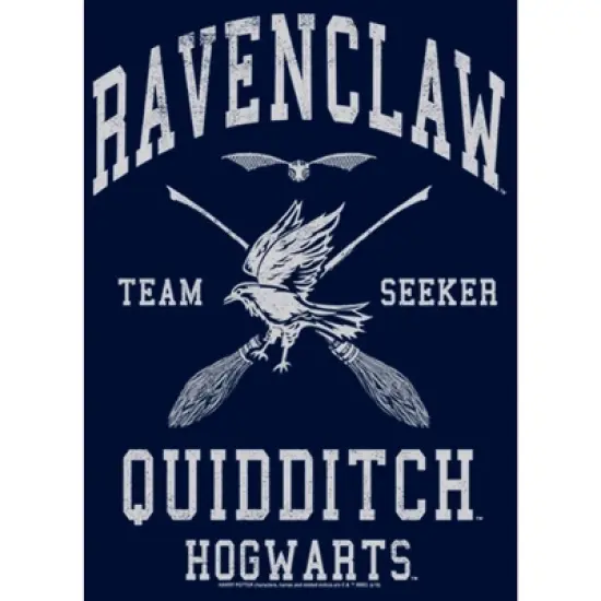 Boy's Harry Potter Ravenclaw Quidditch Seeker T-Shirt image {1}