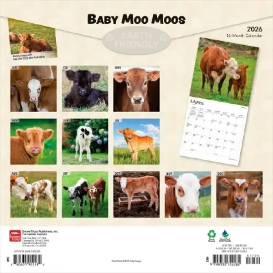 BrownTrout Baby Moo Moos 2026 12"x24" Hanging Square Wall Calendar Plastic-Free image {1}